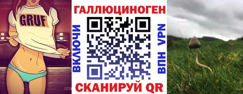 Галлюциногенные грибы GOLDEN TEACHER  купить наркотики цена  Лесной 